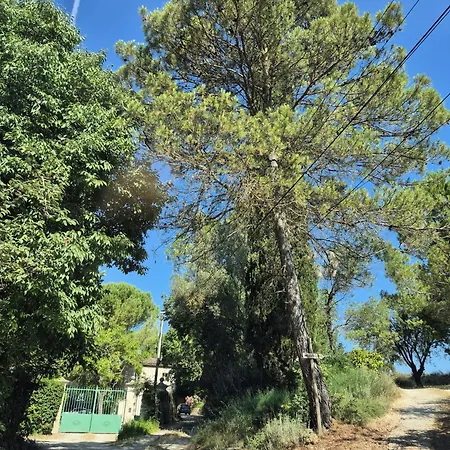 Au Coeur D'un Mas