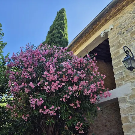 Bed and Breakfast Au Coeur D'un Mas Μονπελιέ