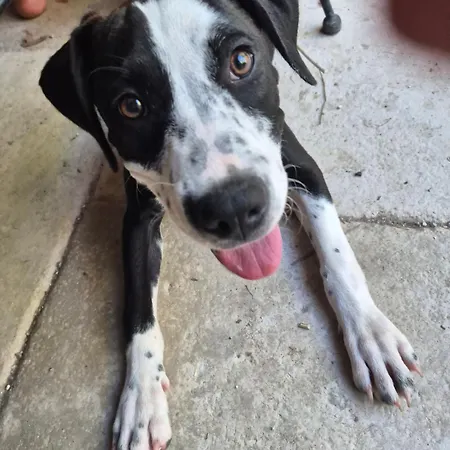 Au Coeur D'un Mas Nocleg ze śniadaniem Montpellier